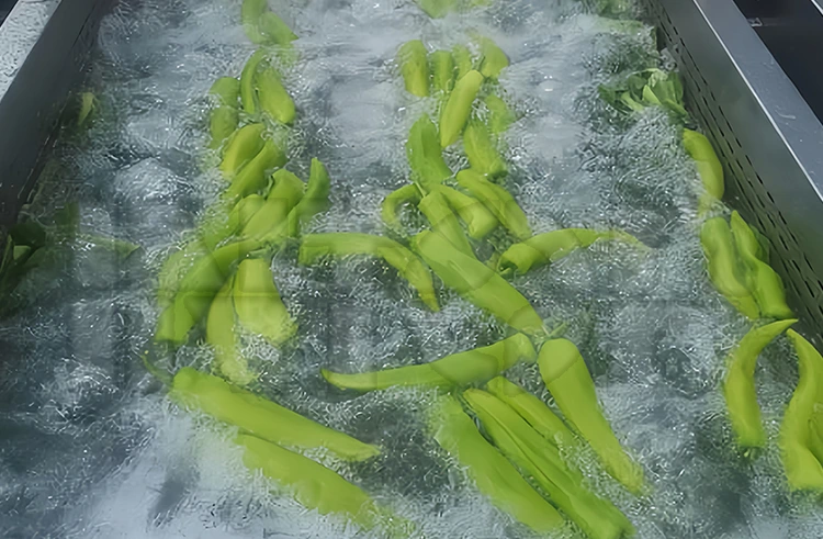 분류 및 세탁기 란 무엇입니까?